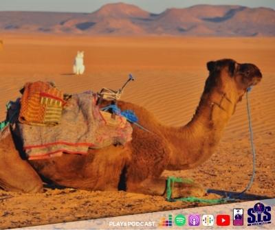 Voyage au Maroc - Philippe Soreil sur S.I.S Radio